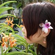 新婚旅行先のハワイで