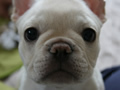 profilephoto