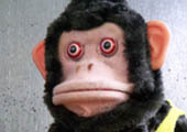 profilephoto