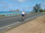 [+Enteractive Life+]