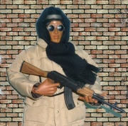 Ĥܲ񳦤Υ饷˥դȸƤФ뤿ˤϡ