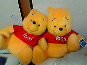 a * s t r a y - b l o g