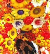 profilephoto